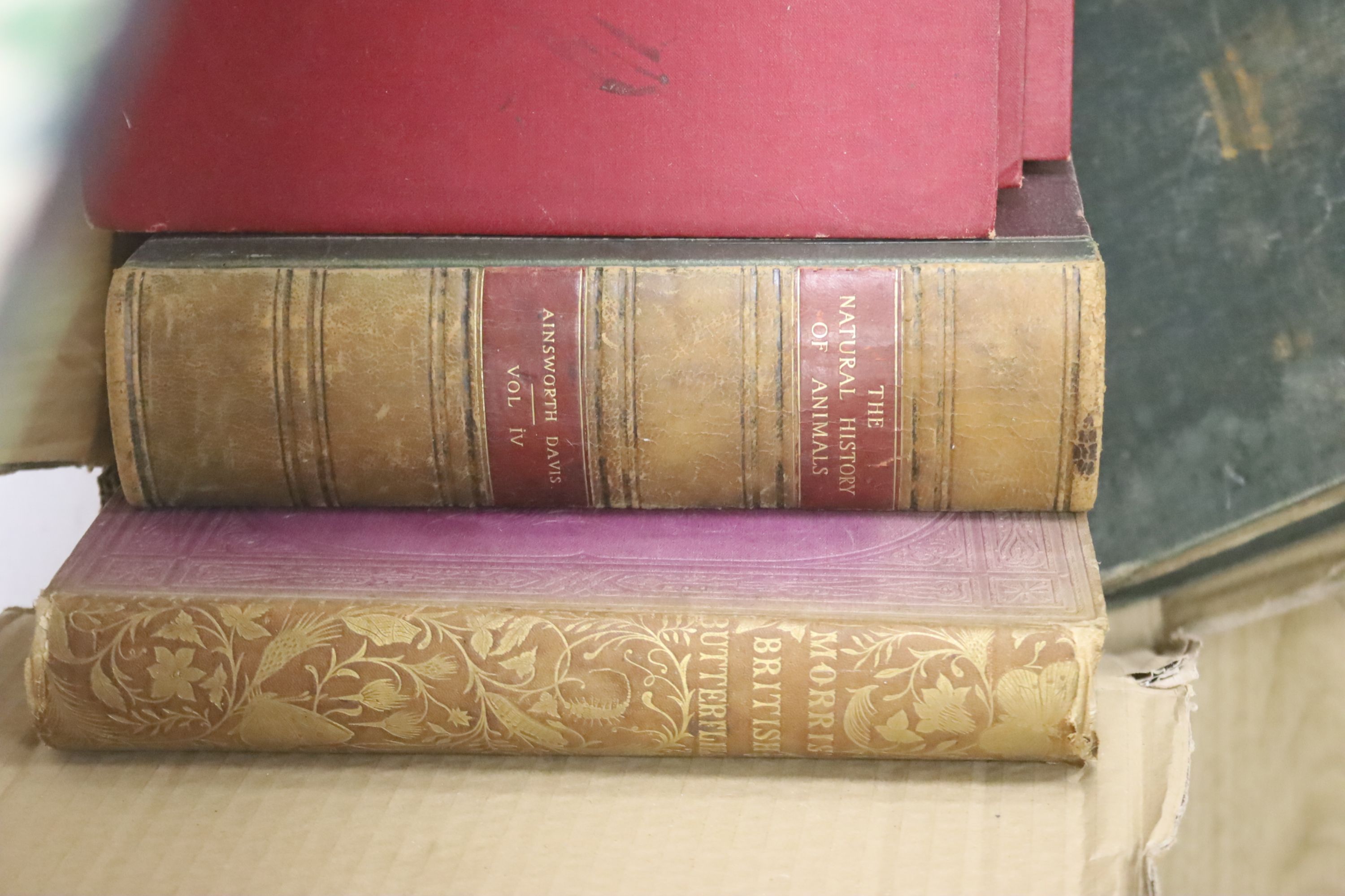 Assorted bindings and Winston Churchill bools.